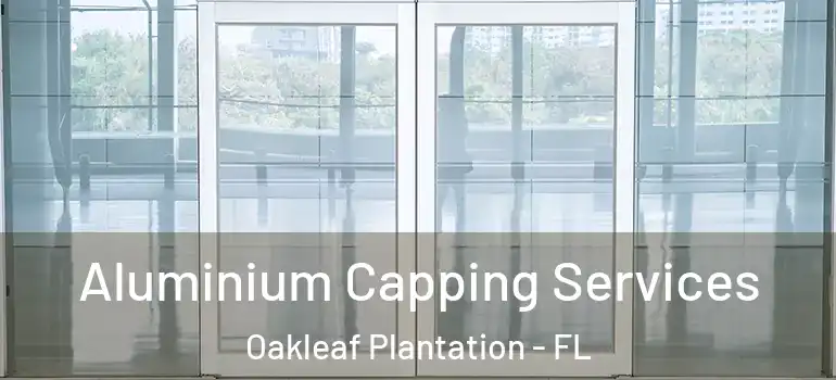 Aluminium Capping Services Oakleaf Plantation - FL