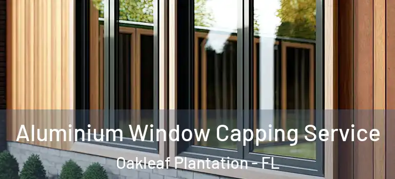 Aluminium Window Capping Service Oakleaf Plantation - FL