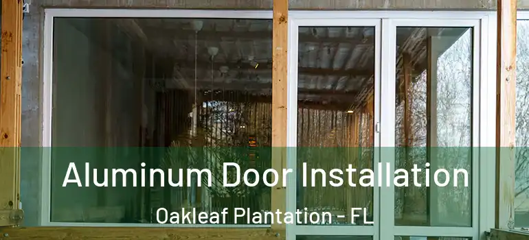 Aluminum Door Installation Oakleaf Plantation - FL