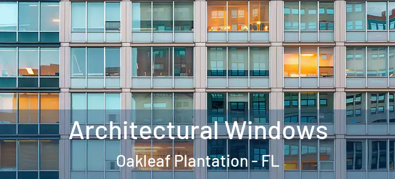 Architectural Windows Oakleaf Plantation - FL