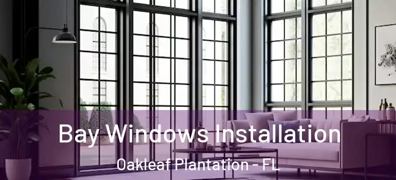 Bay Windows Installation Oakleaf Plantation - FL