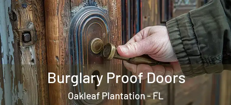 Burglary Proof Doors Oakleaf Plantation - FL