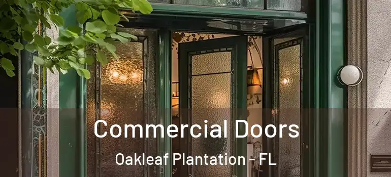 Commercial Doors Oakleaf Plantation - FL