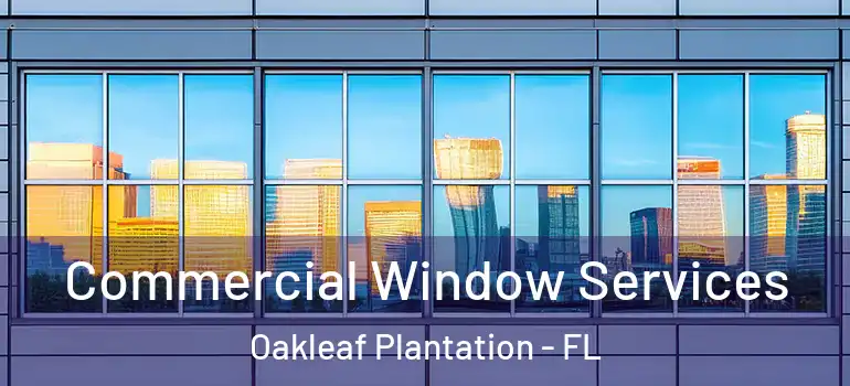 Commercial Window Services Oakleaf Plantation - FL