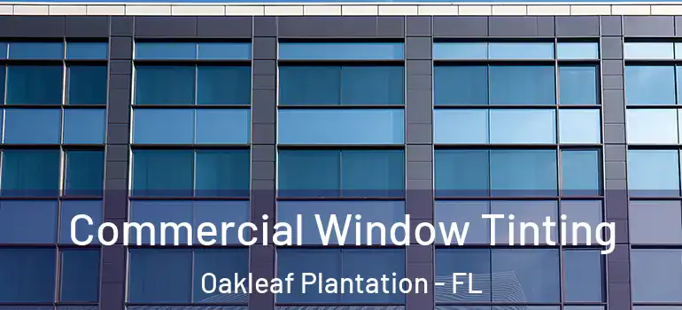 Commercial Window Tinting Oakleaf Plantation - FL