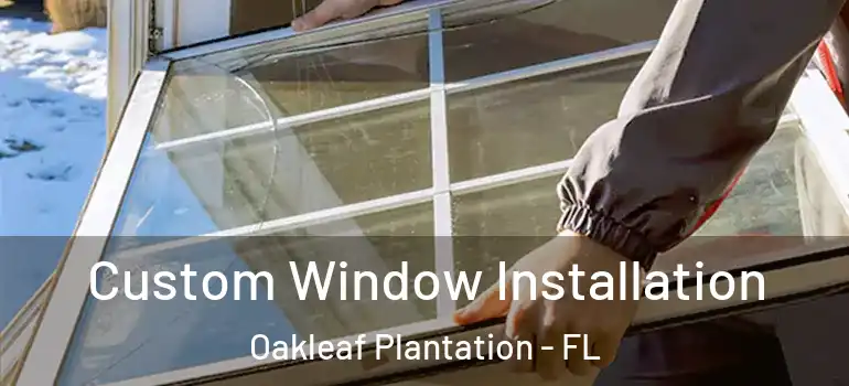 Custom Window Installation Oakleaf Plantation - FL