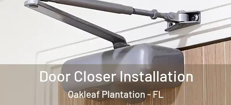 Door Closer Installation Oakleaf Plantation - FL