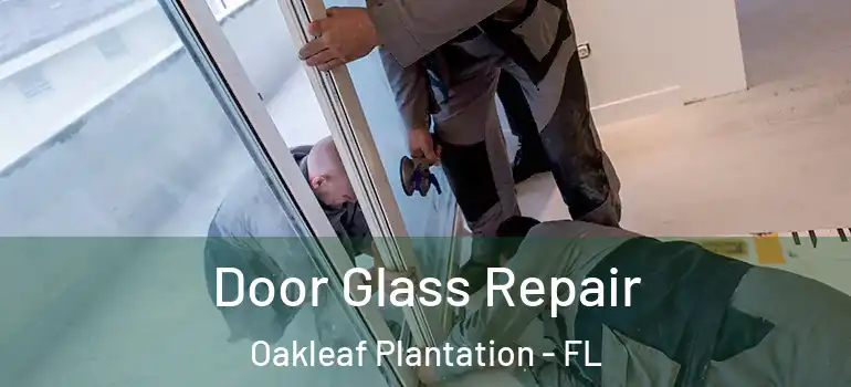 Door Glass Repair Oakleaf Plantation - FL