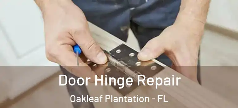 Door Hinge Repair Oakleaf Plantation - FL