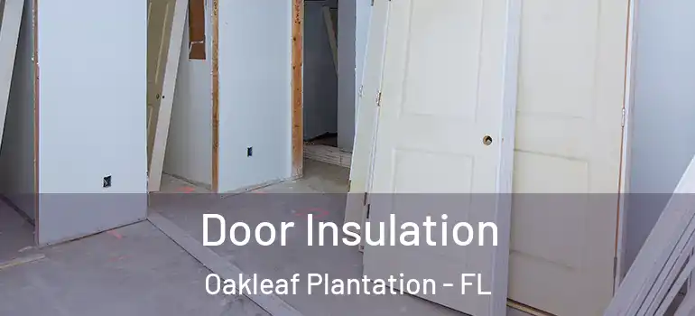Door Insulation Oakleaf Plantation - FL