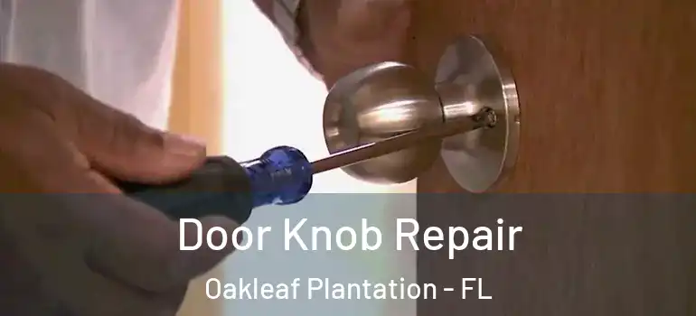 Door Knob Repair Oakleaf Plantation - FL