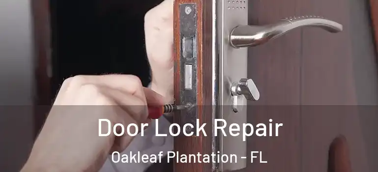 Door Lock Repair Oakleaf Plantation - FL
