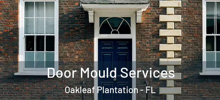 Door Mould Services Oakleaf Plantation - FL