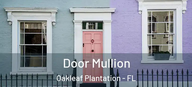 Door Mullion Oakleaf Plantation - FL