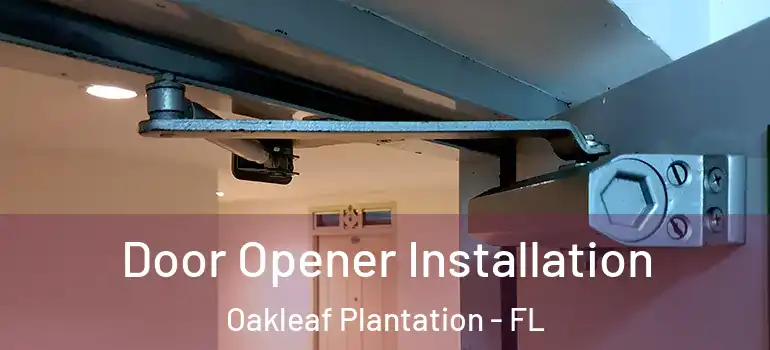 Door Opener Installation Oakleaf Plantation - FL
