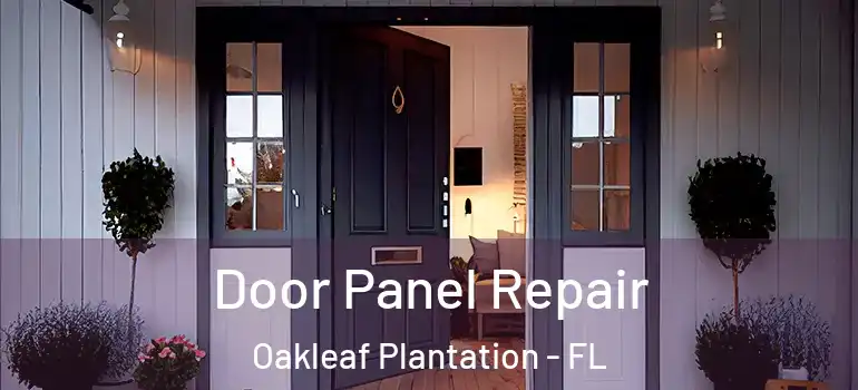 Door Panel Repair Oakleaf Plantation - FL