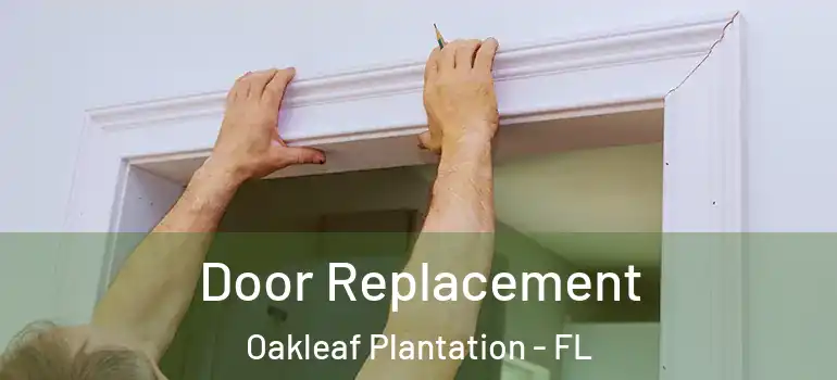 Door Replacement Oakleaf Plantation - FL