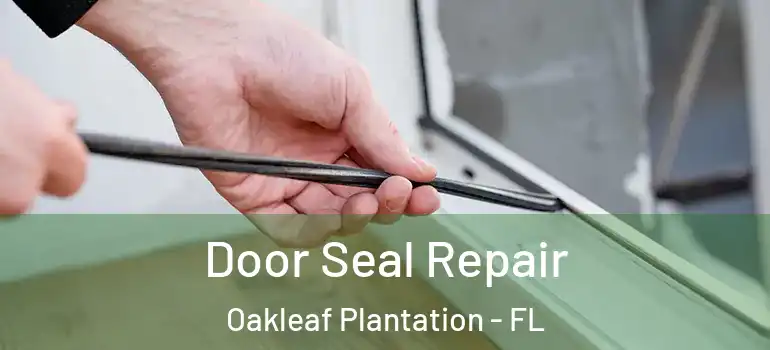 Door Seal Repair Oakleaf Plantation - FL