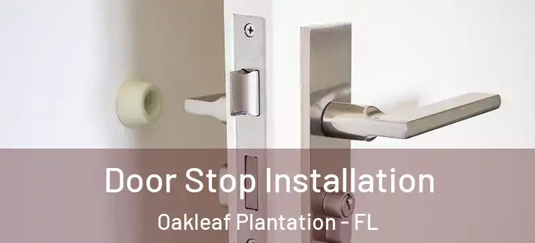 Door Stop Installation Oakleaf Plantation - FL