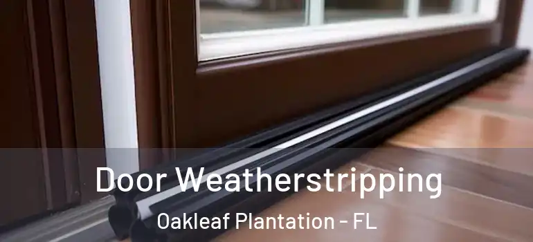 Door Weatherstripping Oakleaf Plantation - FL