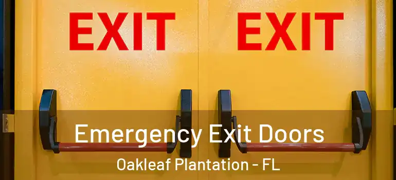 Emergency Exit Doors Oakleaf Plantation - FL