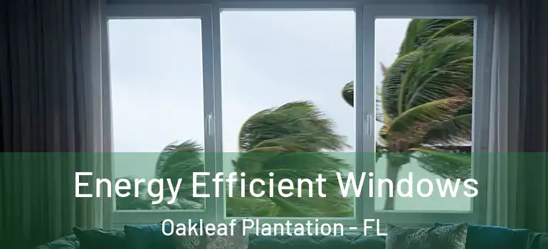 Energy Efficient Windows Oakleaf Plantation - FL