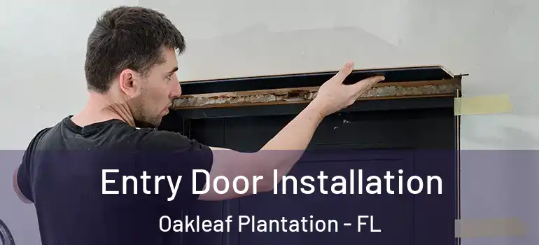 Entry Door Installation Oakleaf Plantation - FL
