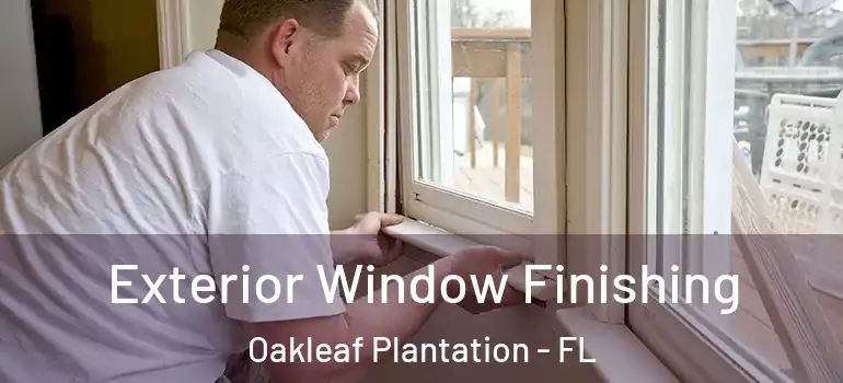 Exterior Window Finishing Oakleaf Plantation - FL