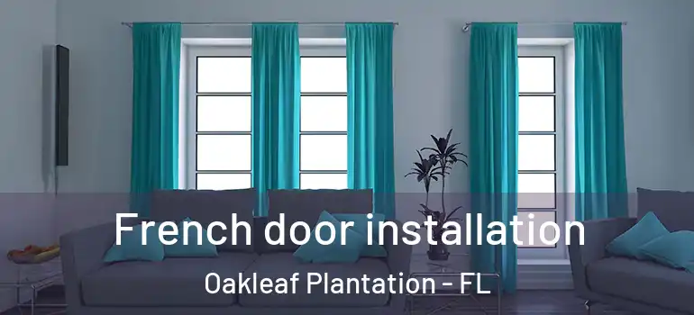 French door installation Oakleaf Plantation - FL