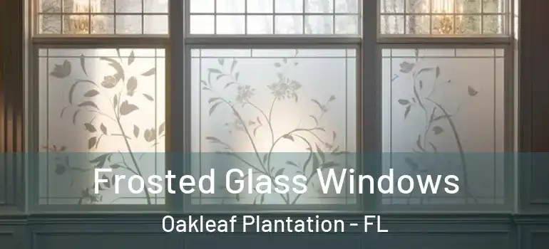 Frosted Glass Windows Oakleaf Plantation - FL