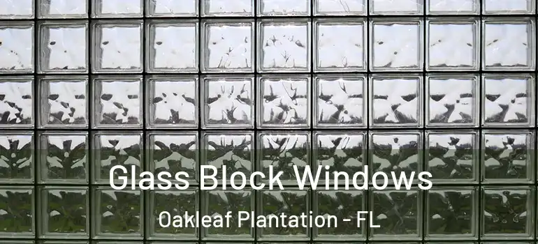 Glass Block Windows Oakleaf Plantation - FL