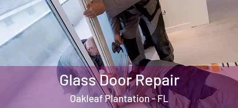 Glass Door Repair Oakleaf Plantation - FL