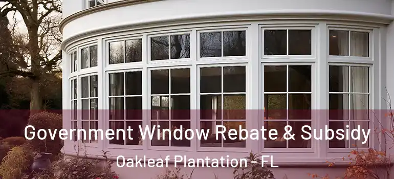 Government Window Rebate & Subsidy Oakleaf Plantation - FL