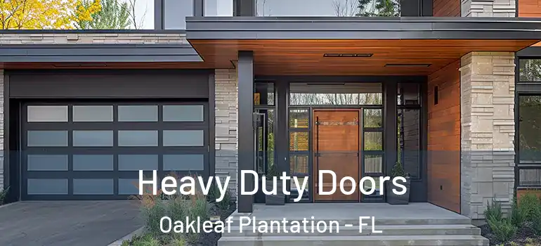 Heavy Duty Doors Oakleaf Plantation - FL