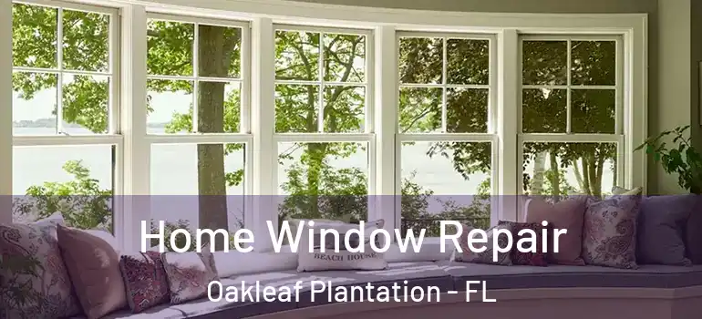 Home Window Repair Oakleaf Plantation - FL
