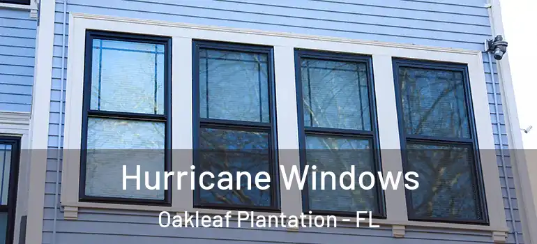 Hurricane Windows Oakleaf Plantation - FL