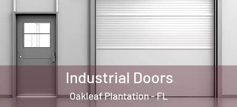 Industrial Doors Oakleaf Plantation - FL