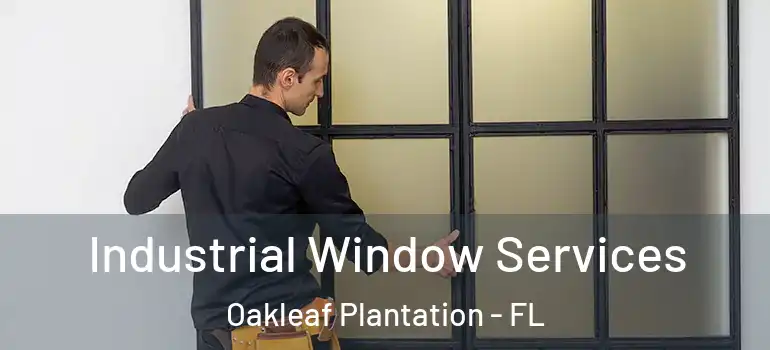 Industrial Window Services Oakleaf Plantation - FL