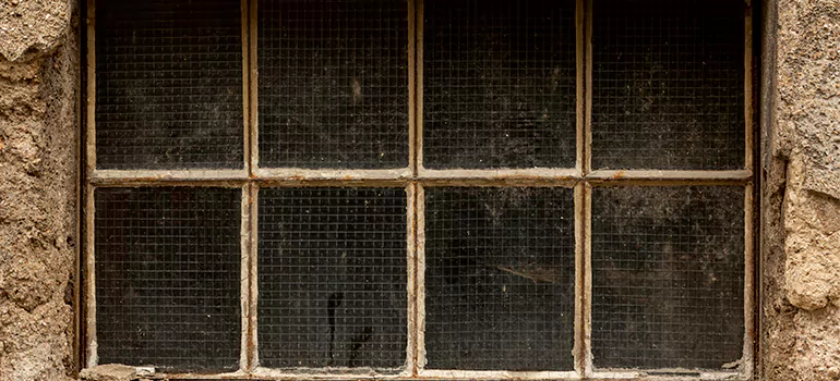 Traditional Double Front Doors in Oakleaf Plantation, FL