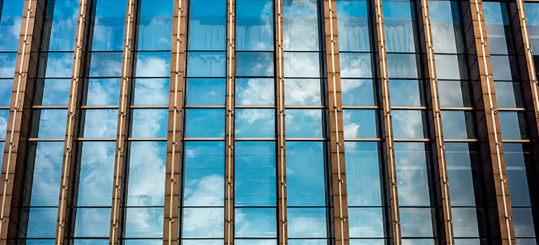 Professional Window Tinting Services in Oakleaf Plantation, FL