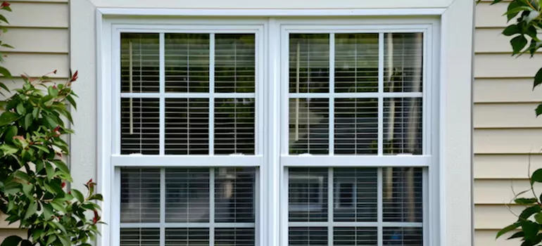 Custom Double Hung Windows in Oakleaf Plantation, FL