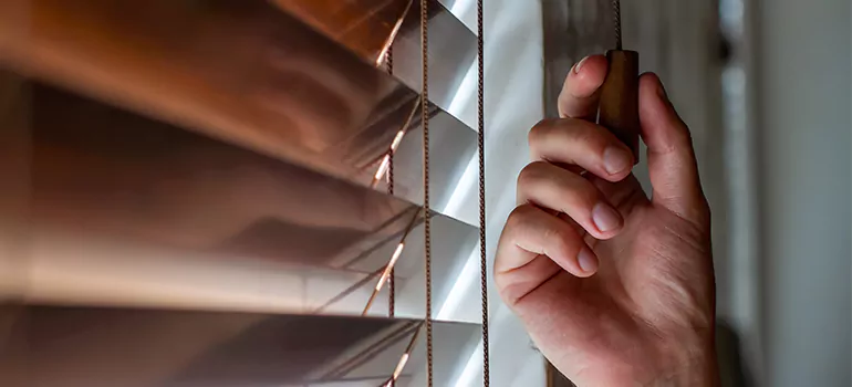 Double Roller Blinds in Oakleaf Plantation, FL