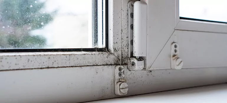 Oakleaf Plantation, FL