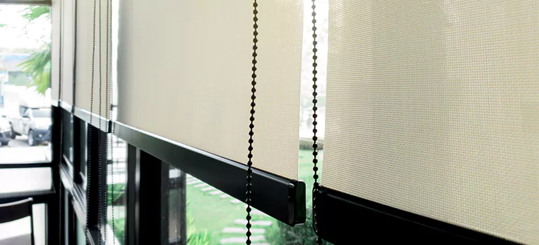 Blackout Window Shades in Oakleaf Plantation, FL