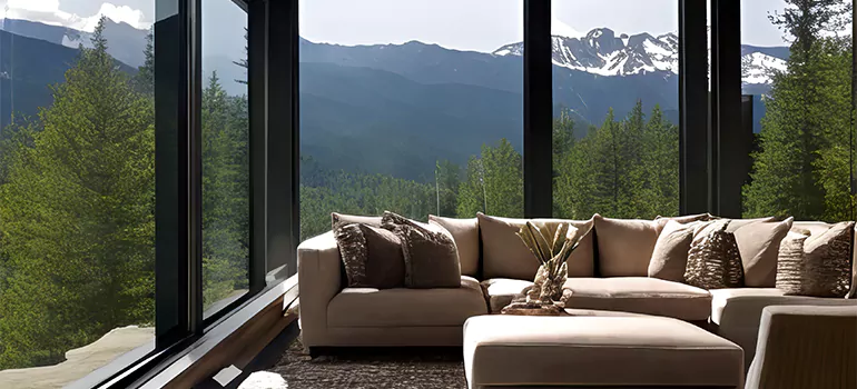 Picture Window Maintenance in Oakleaf Plantation, FL