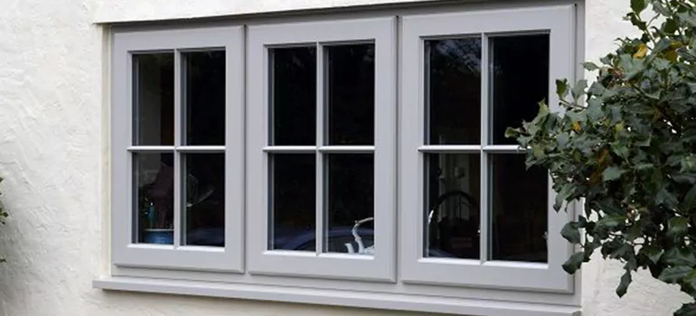 Stormproof Windows With Tinted Glass Services in Oakleaf Plantation, FL