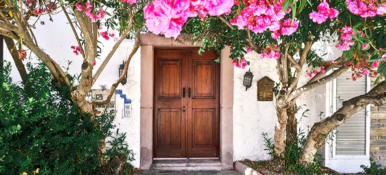 Traditional 4 Panel Internal Doors in Oakleaf Plantation, FL