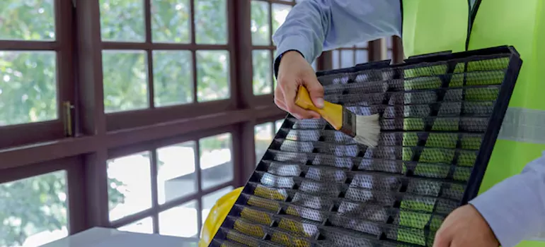 Traditional Window Grille Installation Options in Oakleaf Plantation, FL