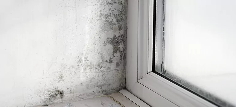 Oakleaf Plantation, FL