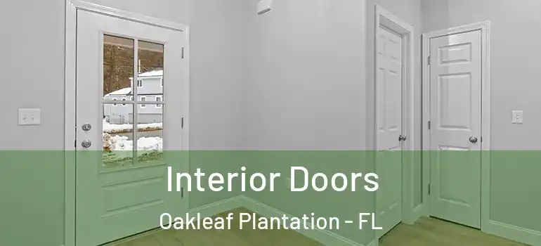 Interior Doors Oakleaf Plantation - FL